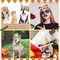 12 Pcs Mini Mexican Hat Straw Sombrero Black Fake Moustache Self Adhesive Fake Beard for Kids Pets Mexican Party Decorations Fiesta Halloween Christmas Masquerade Supplies